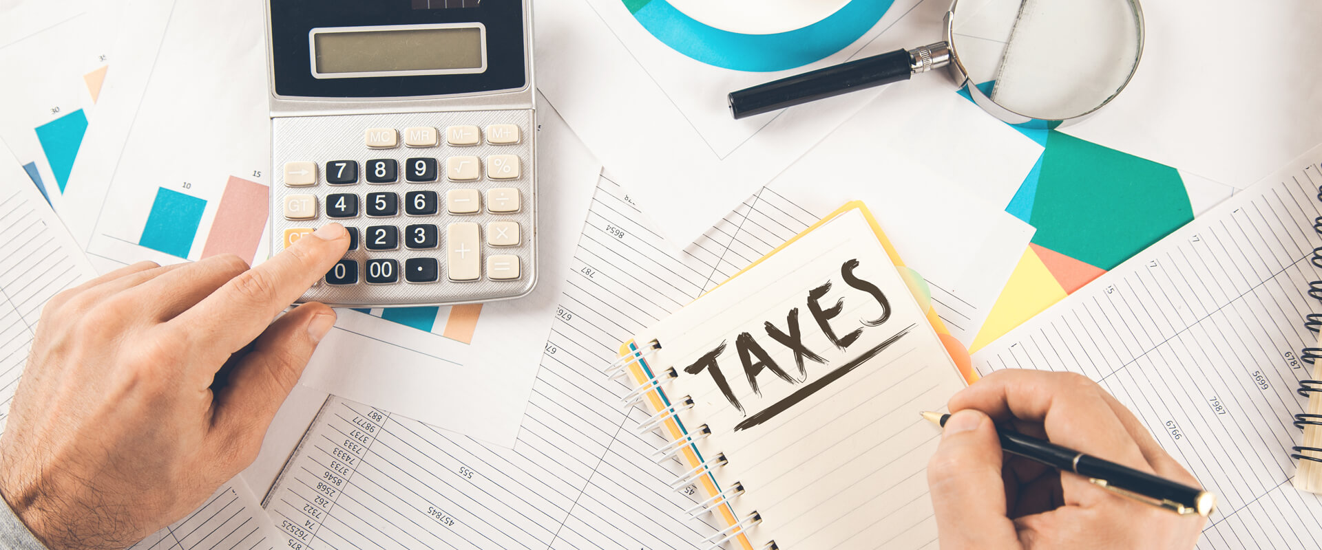 Tax Litigation Services